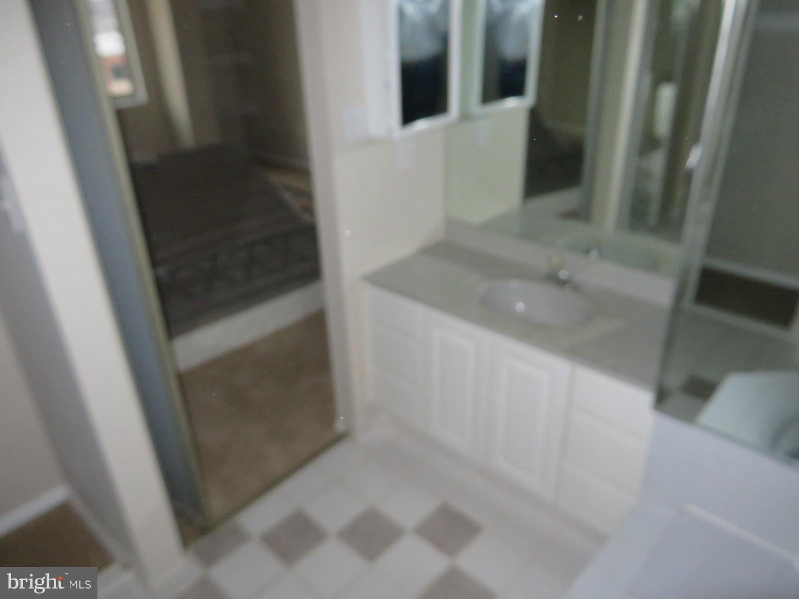 1515 South Arlington Ridge Road, Unit 703 Arlington, VA 22202 - Photo 10 of 28 Bath (Master)