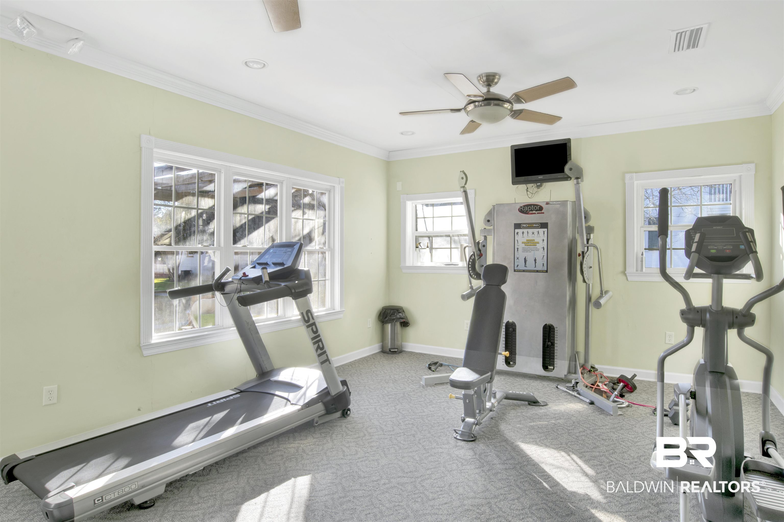 214 Upham Street, Unit 7A Mobile, AL 36607 - Photo 34 of 35 Exercise room with crown molding, carpet floors, and a ceiling fan