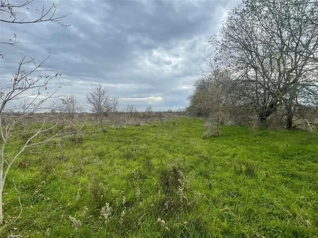 a view of a pathway both side of grassy field with shrub