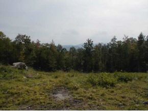 0 Off Melis Road Jamaica, VT 05343 - Photo 1 of 1
