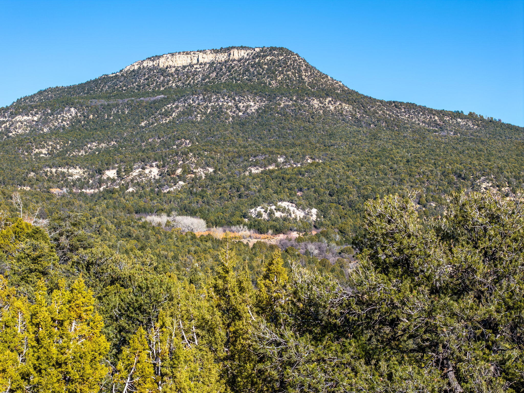 6 South N Frk Road, Unit SERIES 4) Orderville, UT 84758 - Photo 77 of 79 14-web-or-mls- S North Fork Rd. Ordervil
