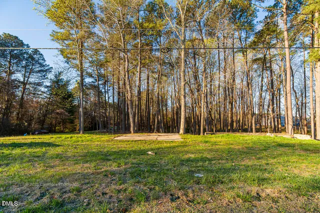 a big yard with trees