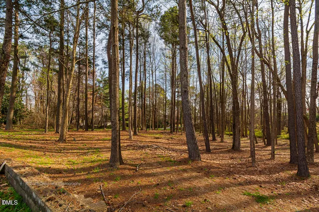 a view of a yard with large trees