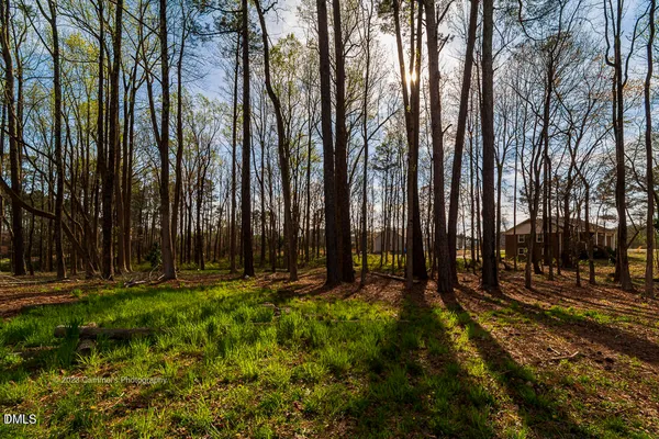 a view of outdoor space with trees