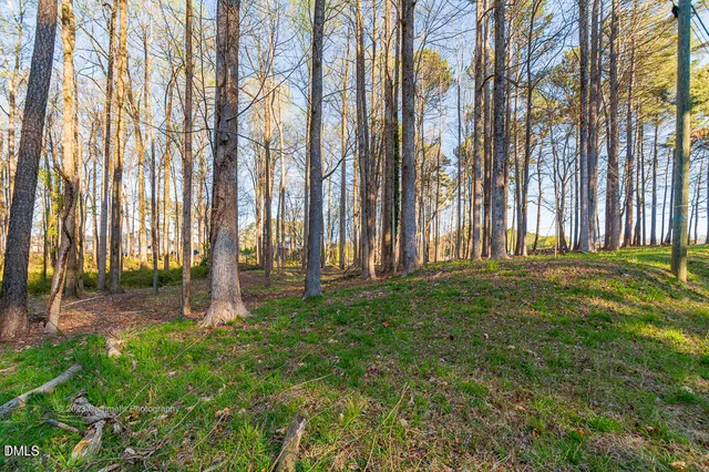 a backyard of apartments with large trees