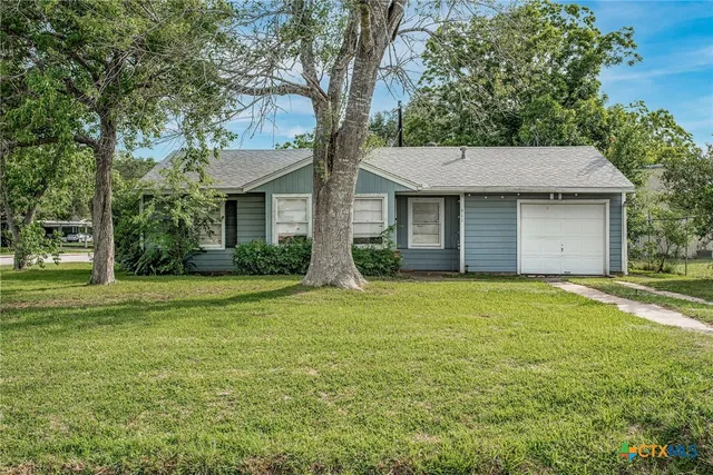a backyard of a house with plants and large tree