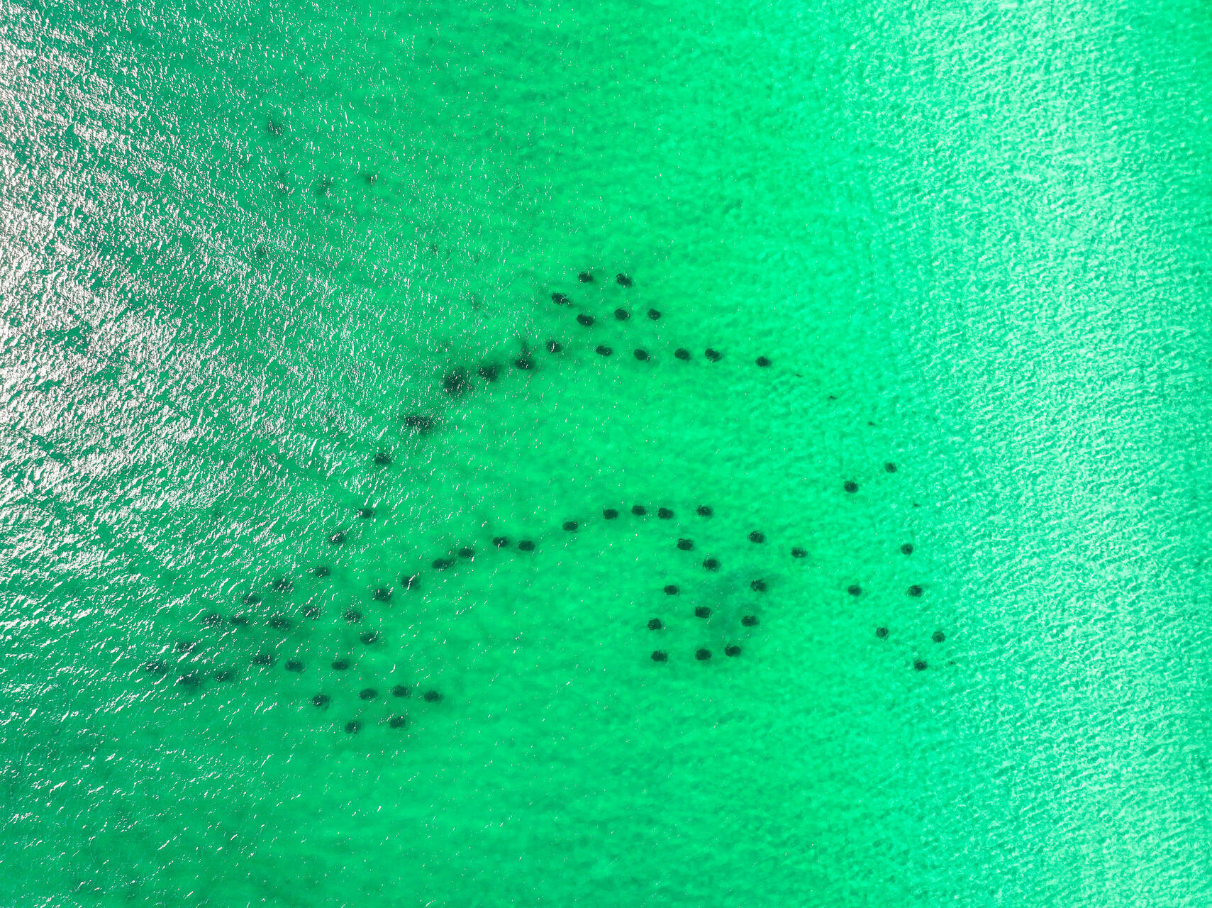 275 Payne Street Miramar Beach, FL 32550 - Photo 59 of 59 aerials 43-011-056-1920x1280