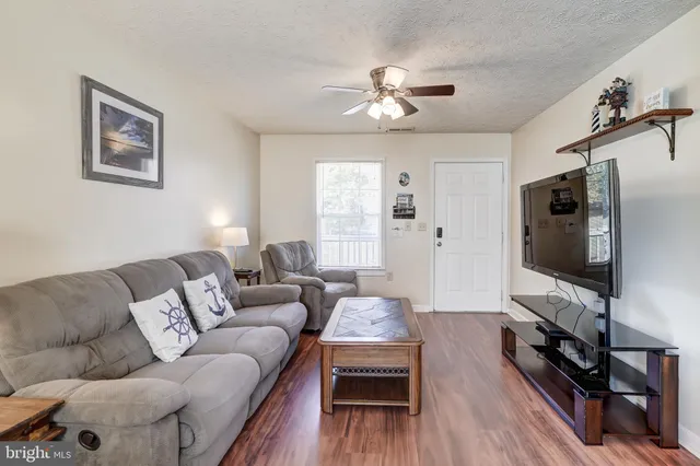 a view of a tree in the middle of a yard