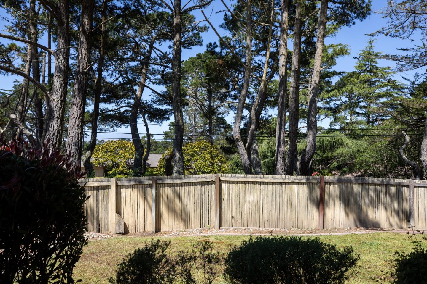 4117 Sunridge Road Pebble Beach, CA 93953 - Photo 4 of 46 a view of a backyard of the house