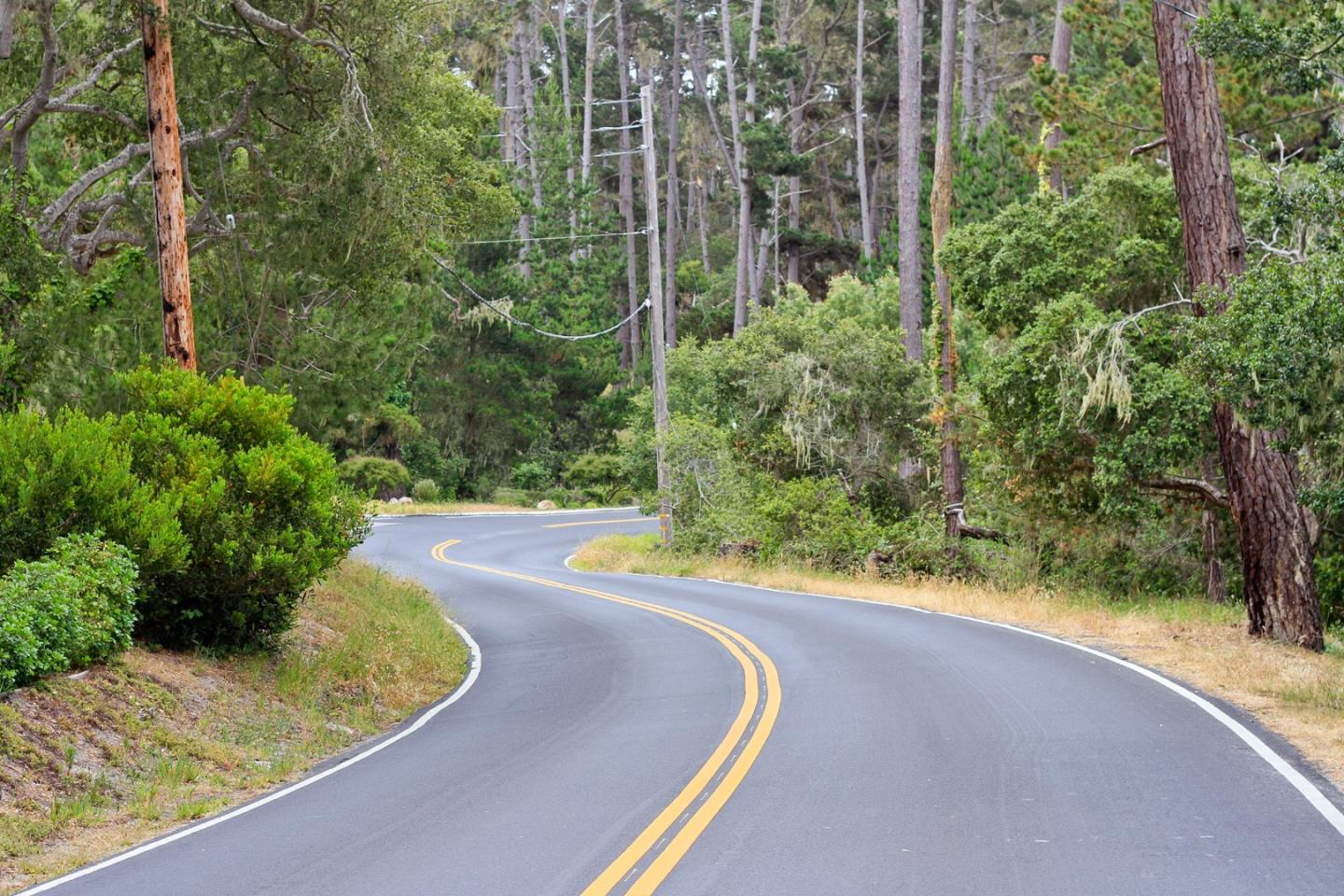 4117 Sunridge Road Pebble Beach, CA 93953 - Photo 41 of 46 a view of a swimming pool with a yard