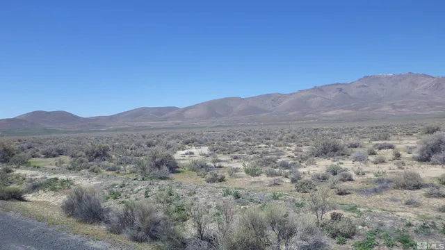 a view of a dry field with mountains in the background