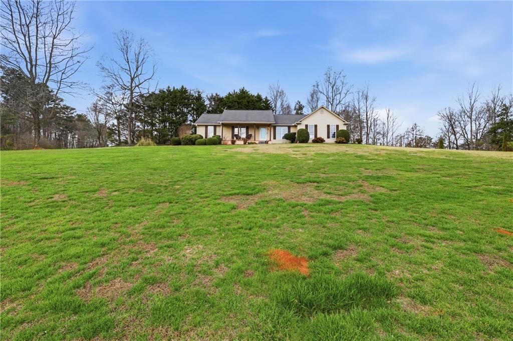 4564 Highway 51 Lula, GA 30554 - Photo 3 of 46 a view of a big yard with plants and trees