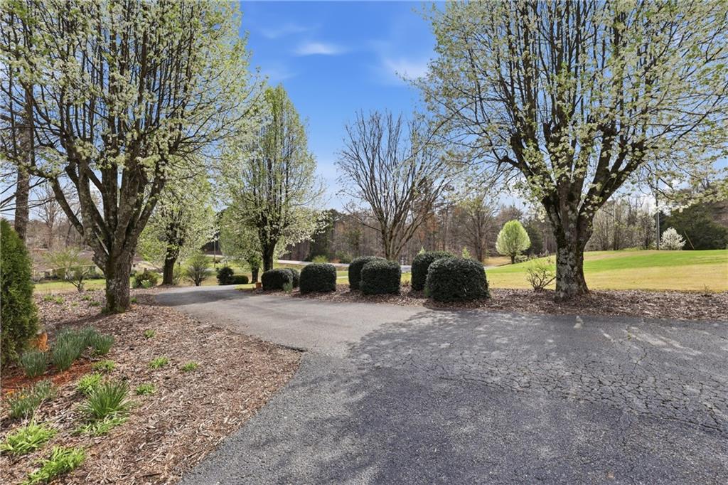 4564 Highway 51 Lula, GA 30554 - Photo 37 of 46 a view of a yard with a tree