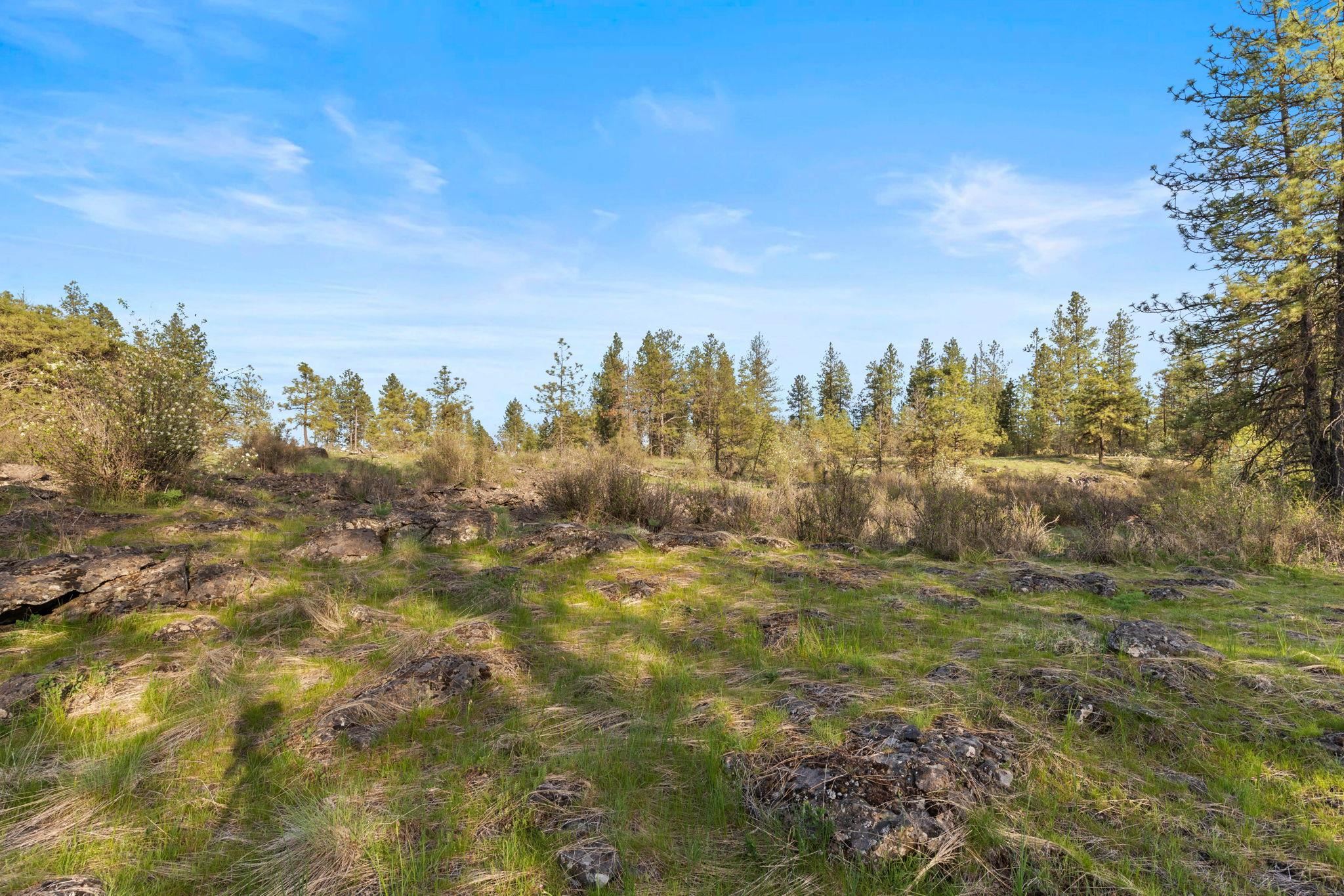 Nna West Anderson Road Cheney, WA 99004 - Photo 11 of 16