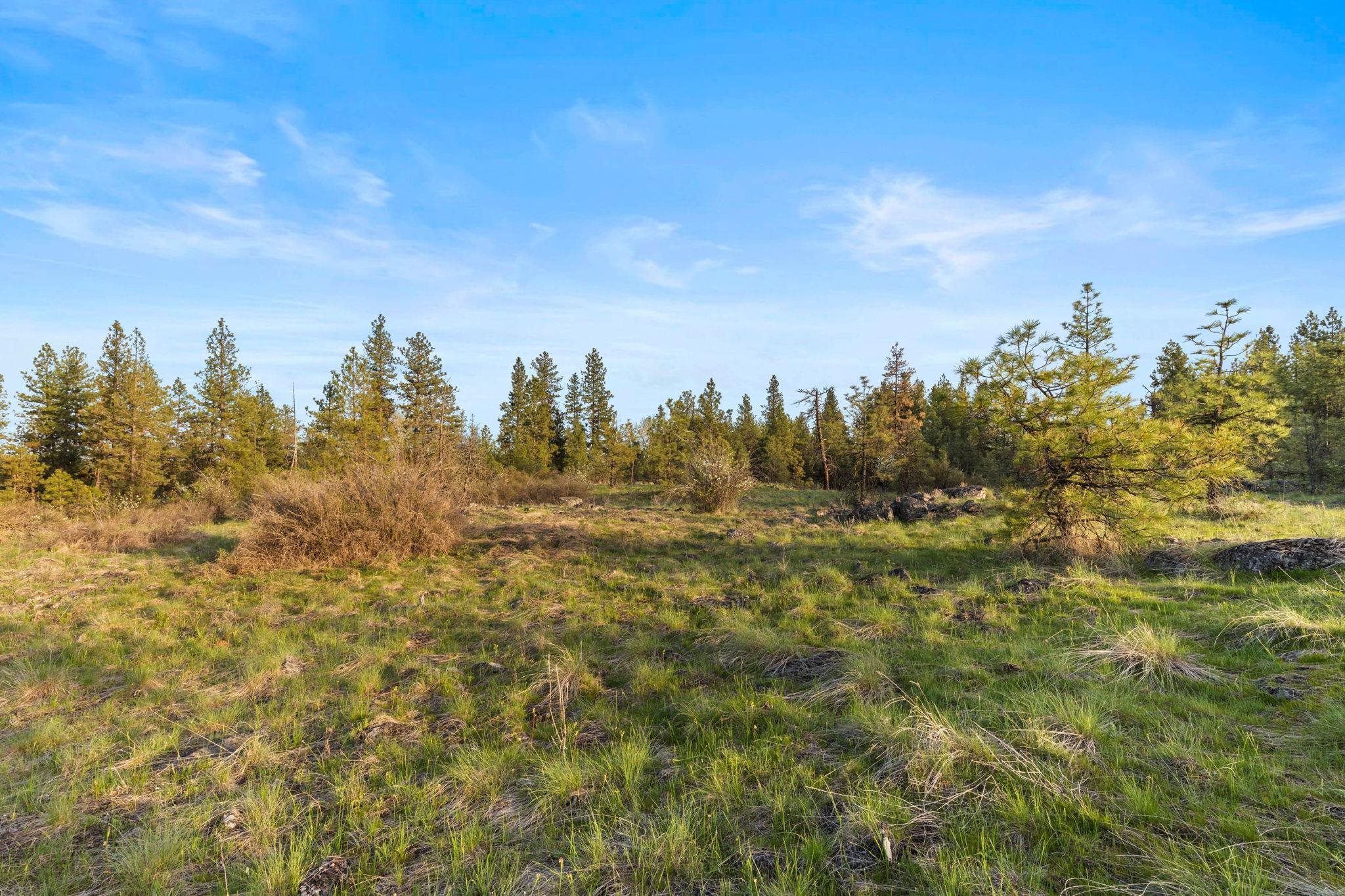 Nna West Anderson Road Cheney, WA 99004 - Photo 12 of 16