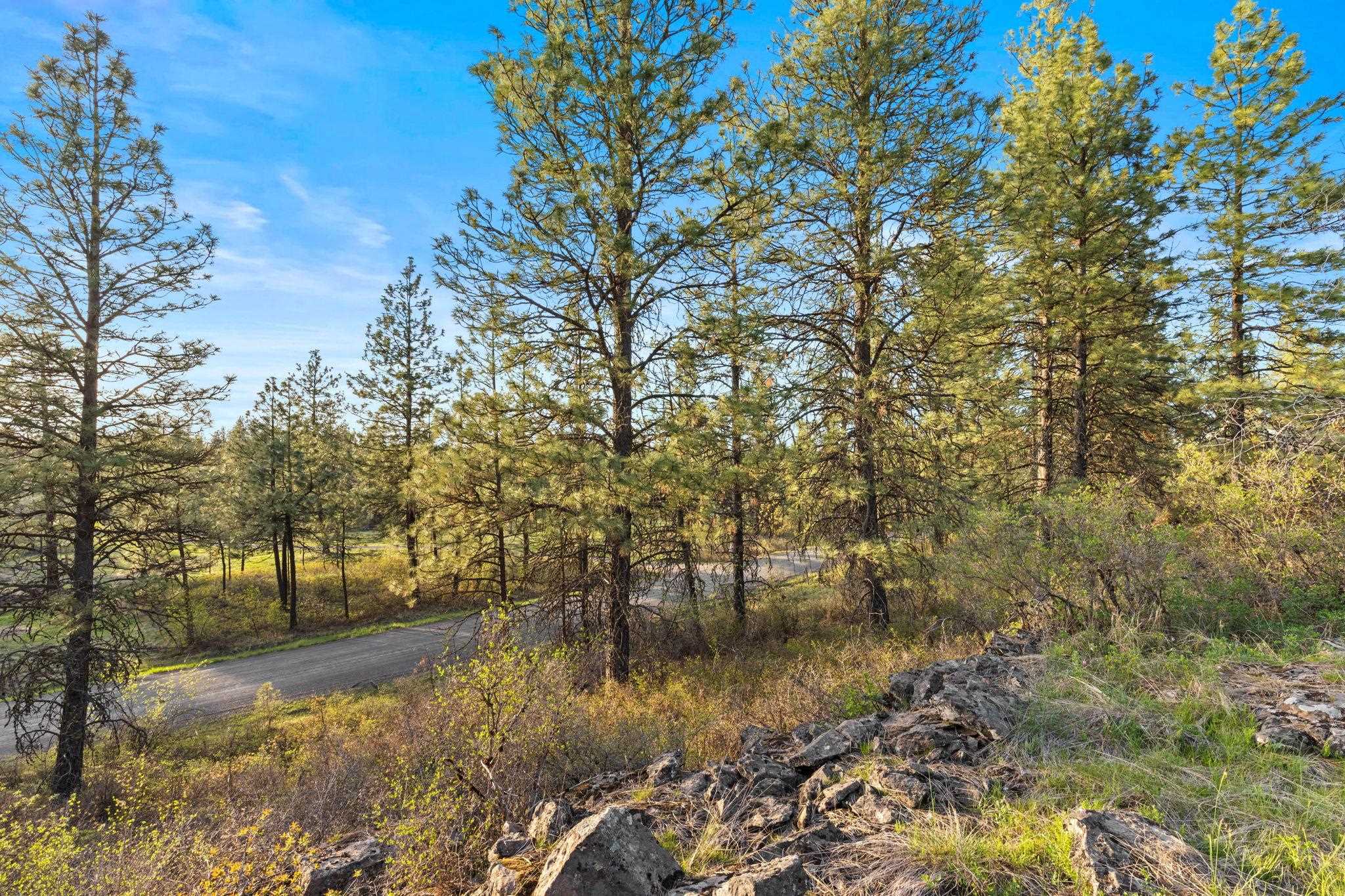 Nna West Anderson Road Cheney, WA 99004 - Photo 13 of 16