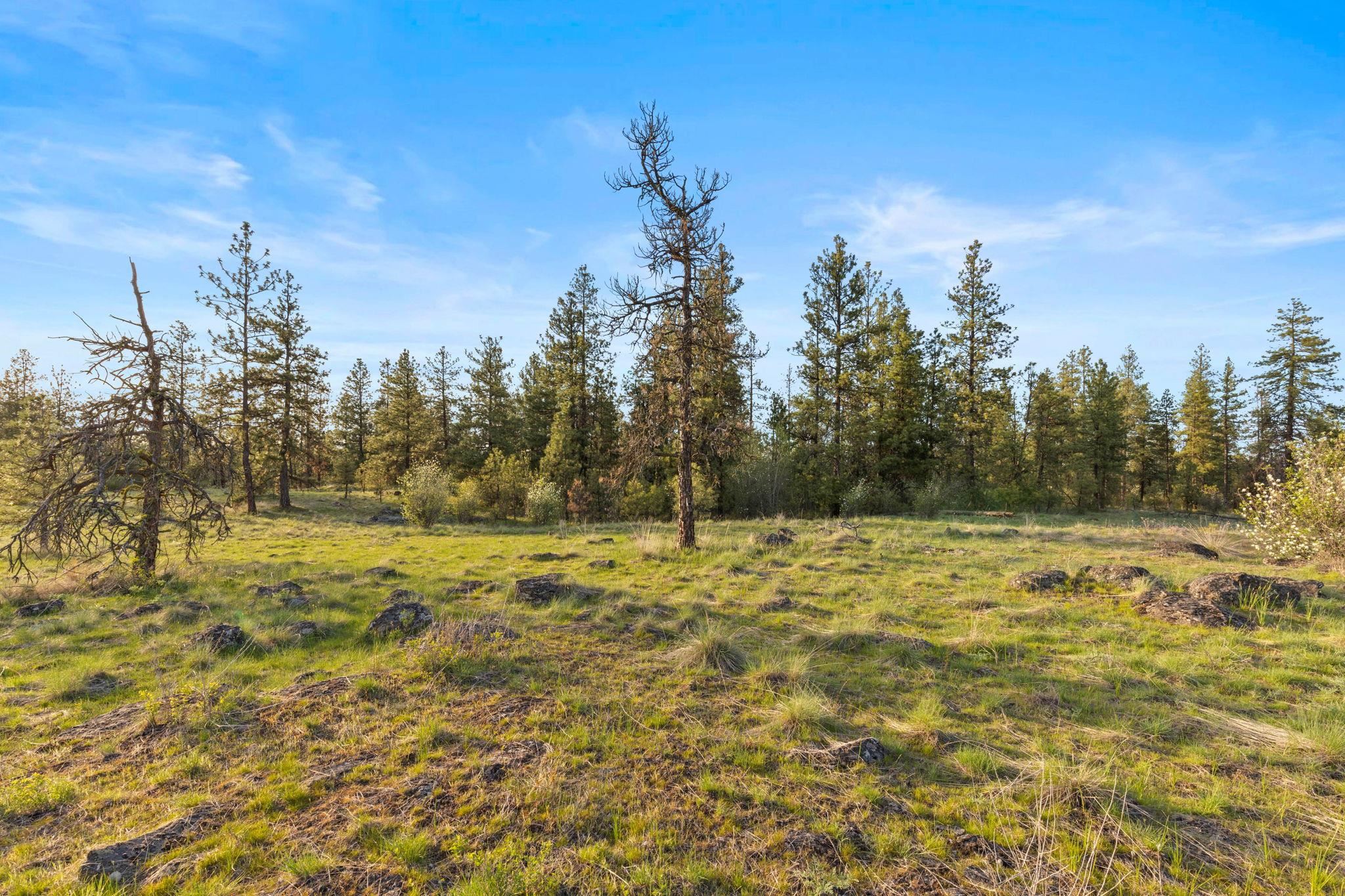 Nna West Anderson Road Cheney, WA 99004 - Photo 14 of 16