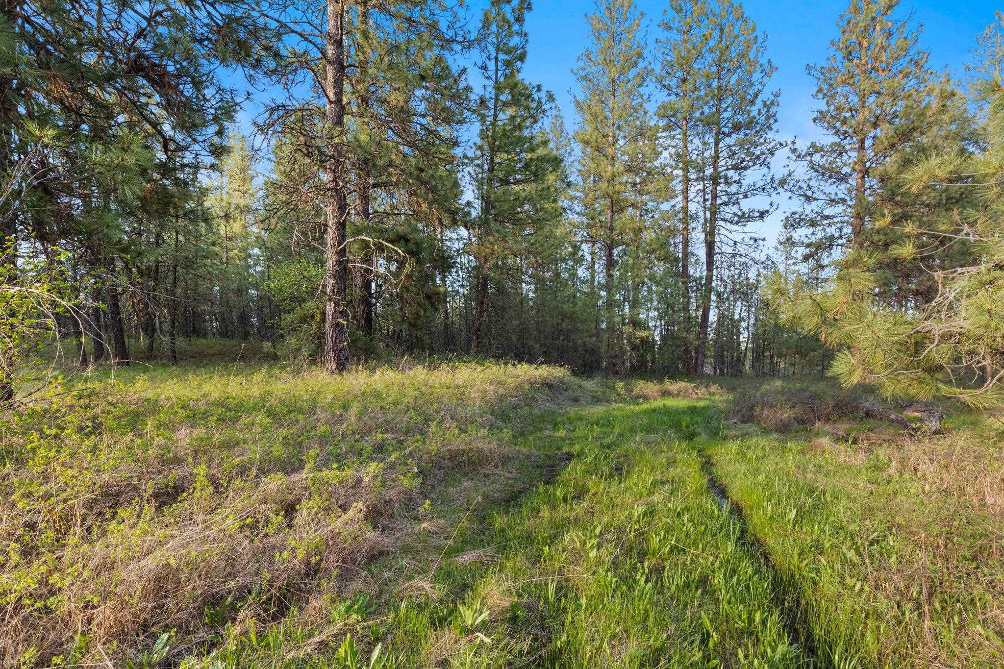 Nna West Anderson Road Cheney, WA 99004 - Photo 15 of 16