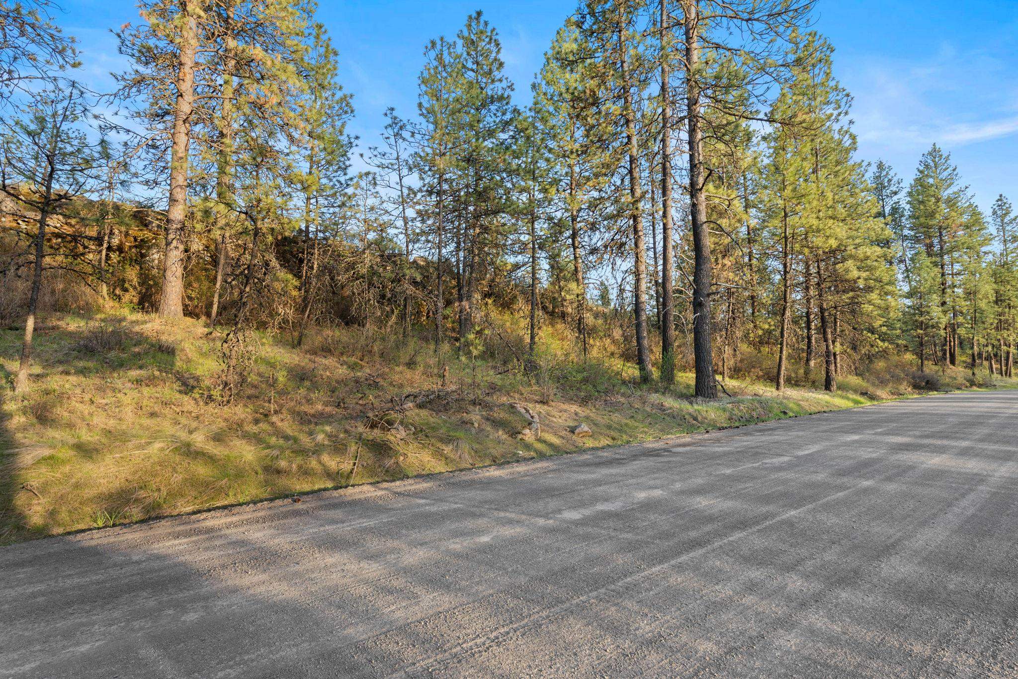 Nna West Anderson Road Cheney, WA 99004 - Photo 16 of 16