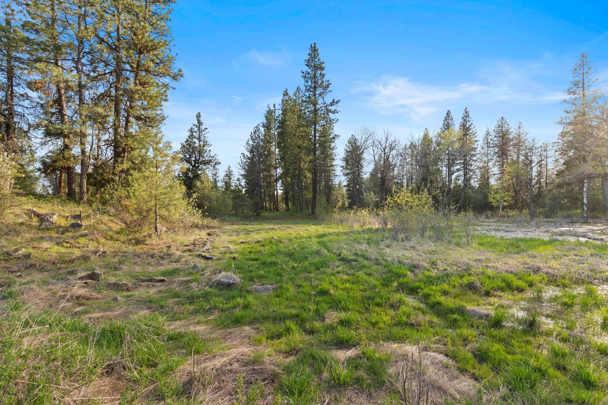 Nna West Anderson Road Cheney, WA 99004 - Photo 3 of 16