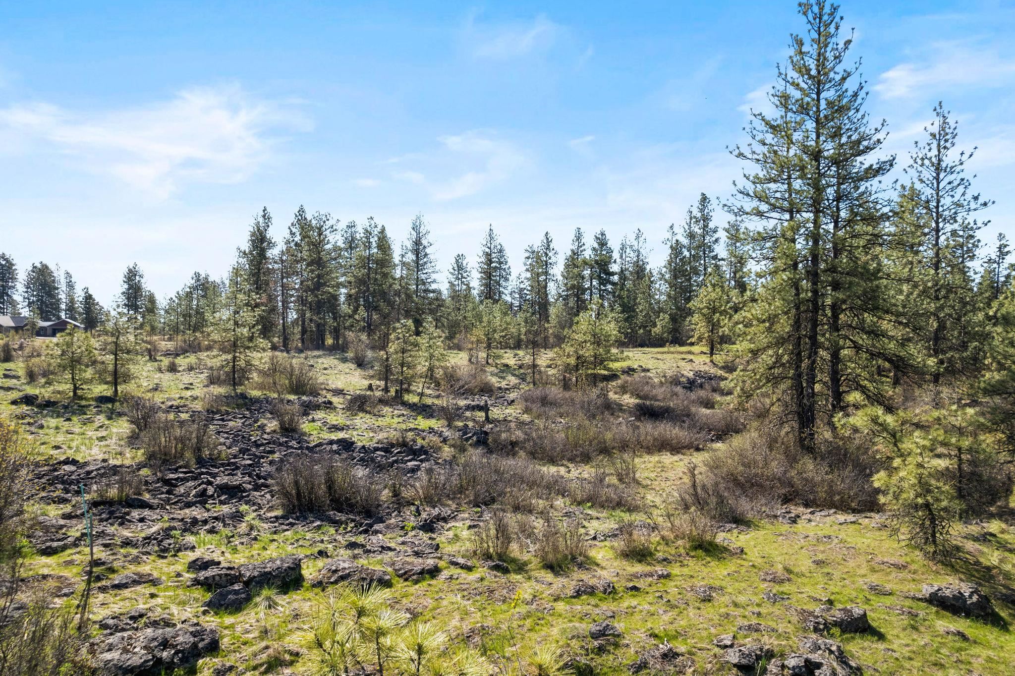 Nna West Anderson Road Cheney, WA 99004 - Photo 4 of 16