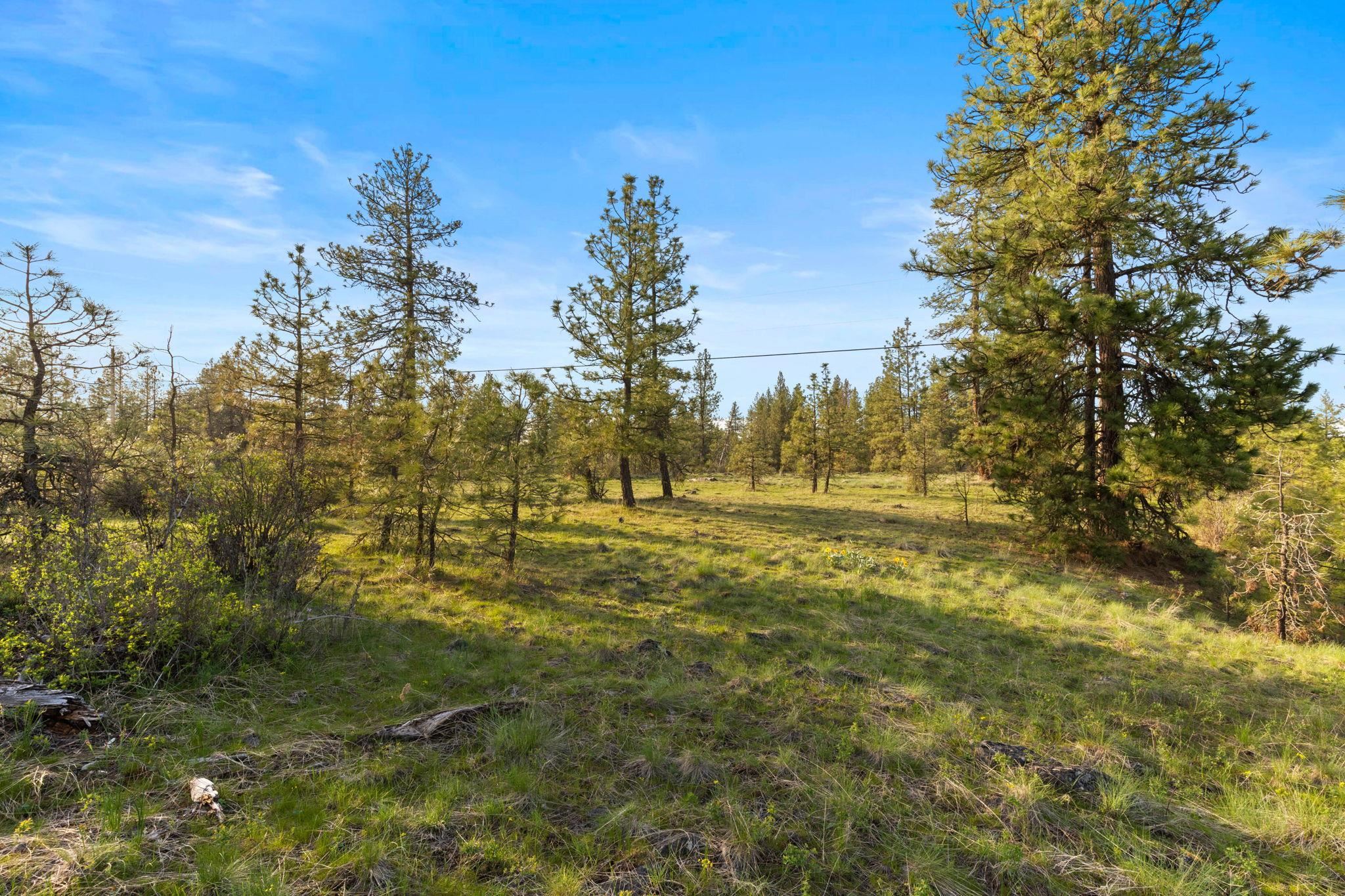 Nna West Anderson Road Cheney, WA 99004 - Photo 5 of 16