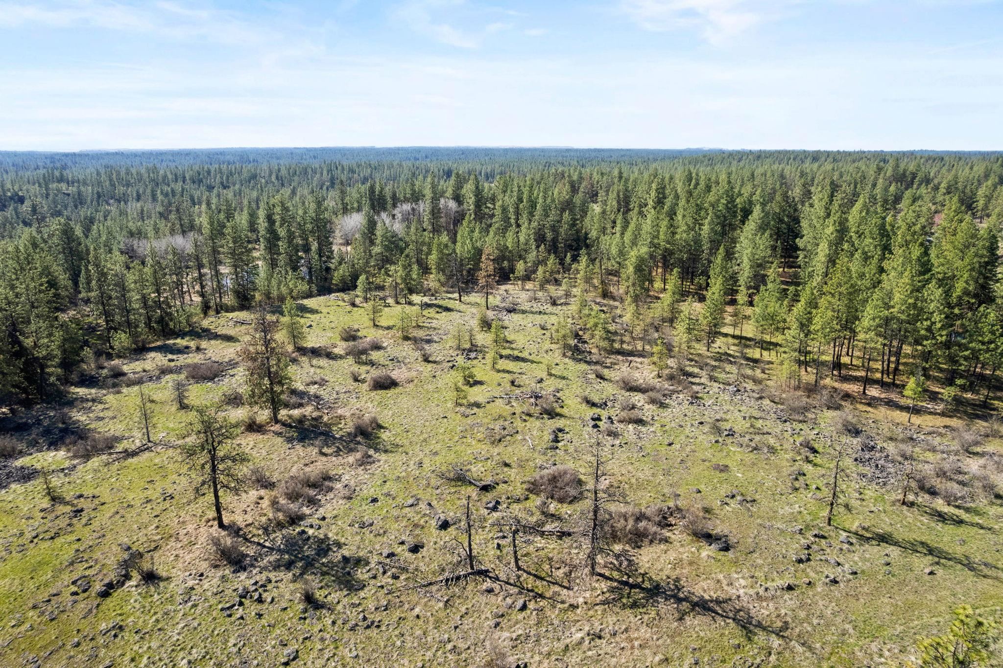 Nna West Anderson Road Cheney, WA 99004 - Photo 9 of 16