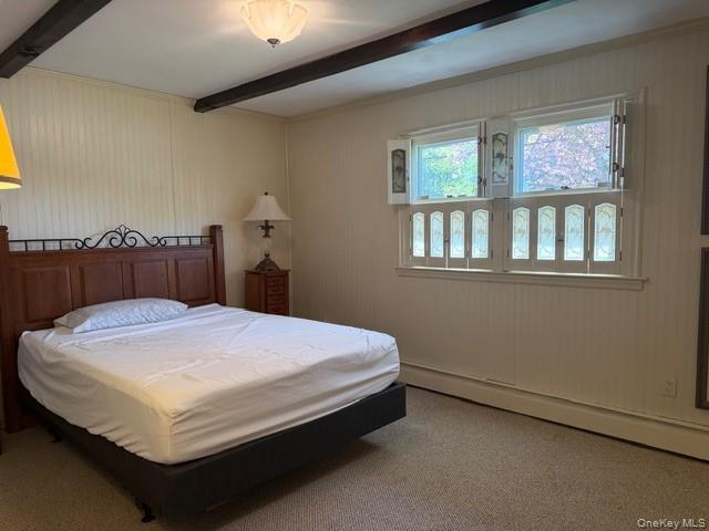 99 Convent Road Syosset, NY 11791 - Photo 7 of 12