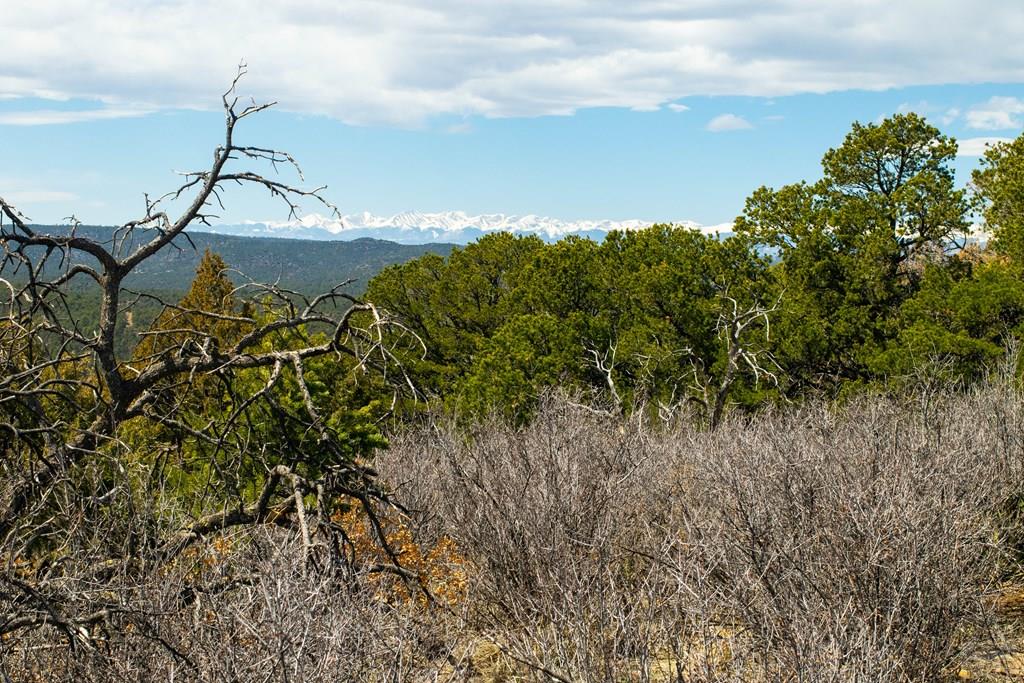 Tbd Turkey Run Trinidad, CO 81082 - Photo 47 of 60
