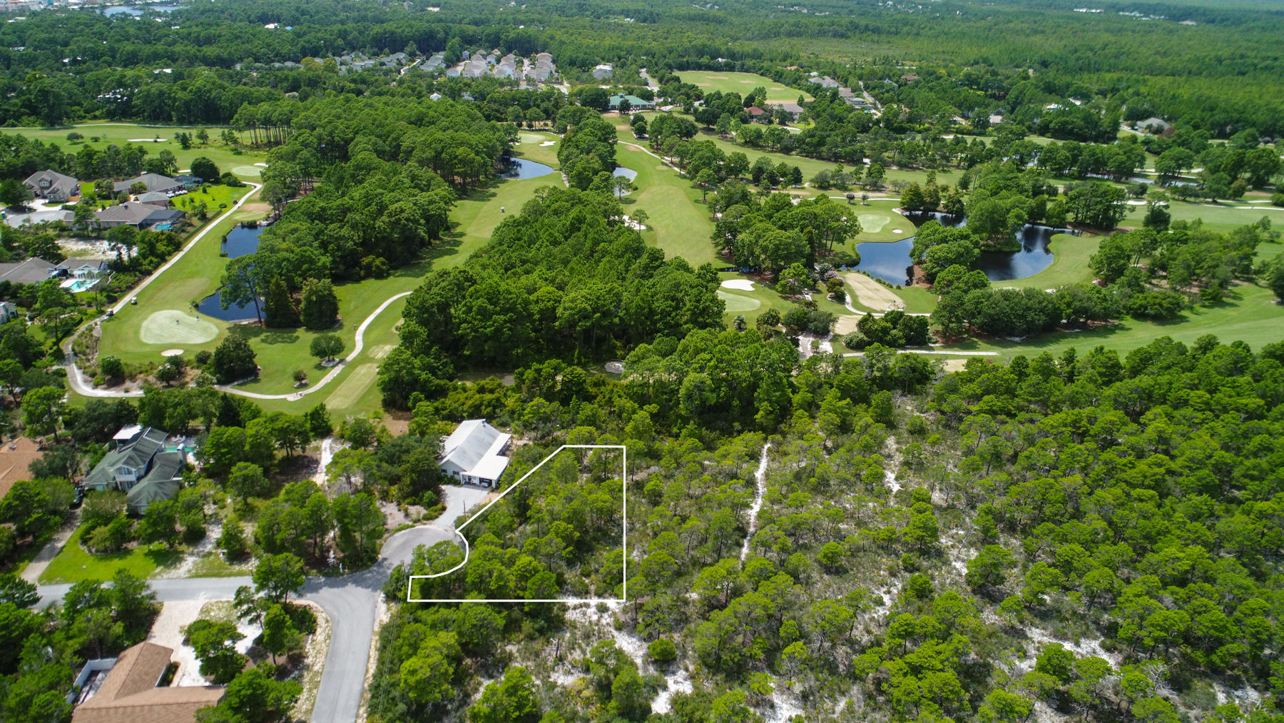 Lot 11 Lot Road Santa Rosa Beach, FL 32459 - Photo 11 of 15 a view of a yard with plants
