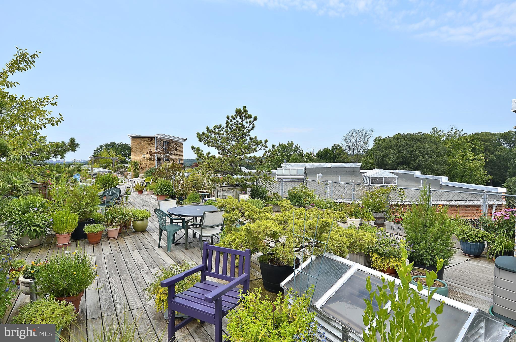 2707 Adams Mill Road Northwest, Unit 110 Washington, DC 20009 - Photo 14 of 27 Urban Oasis
