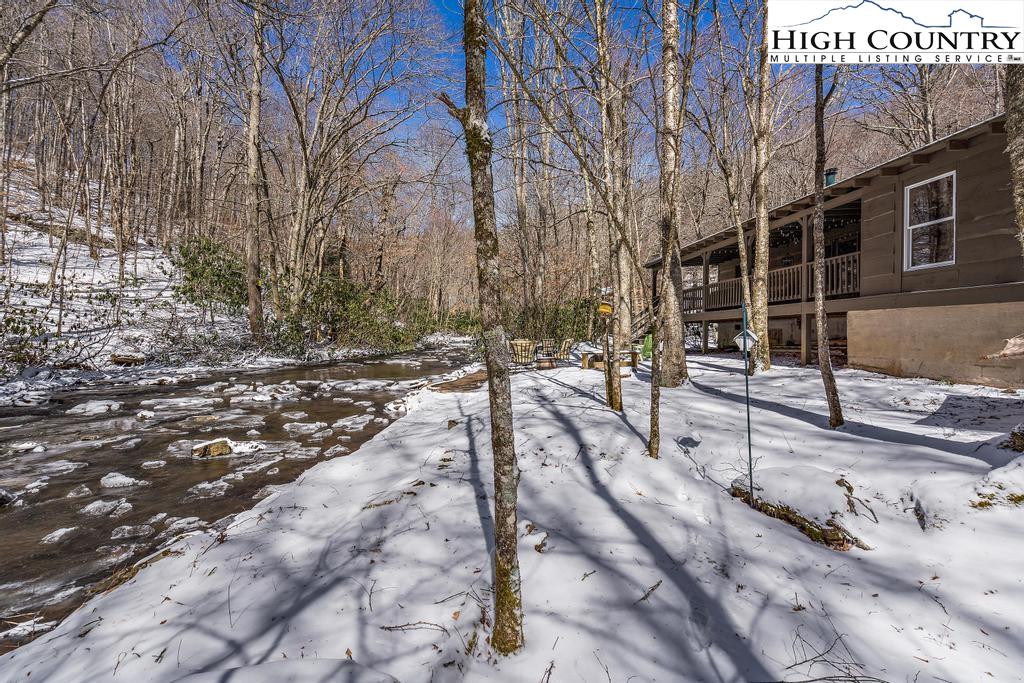 3855 Howard's Creek Road Boone, NC 28607 - Photo 35 of 38 a view of a yard with plants and trees