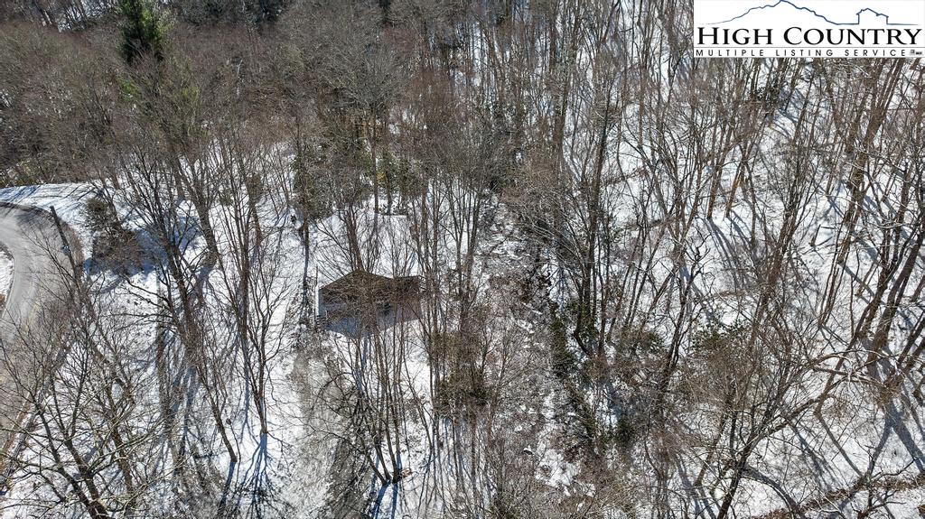 3855 Howard's Creek Road Boone, NC 28607 - Photo 38 of 38 a view of a forest that has large trees