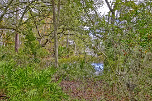 $534,999 | 105 Winding Creek Court, Unit 1142, Mount Pleasant, SC 29464