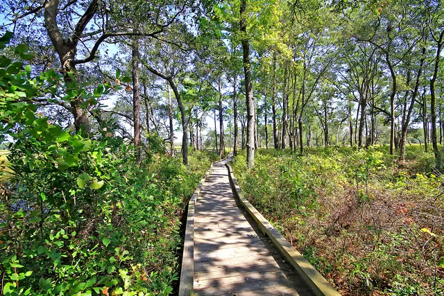 $534,999 | 105 Winding Creek Court, Unit 1142, Mount Pleasant, SC 29464