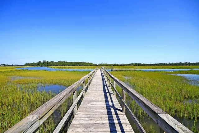 $534,999 | 105 Winding Creek Court, Unit 1142, Mount Pleasant, SC 29464