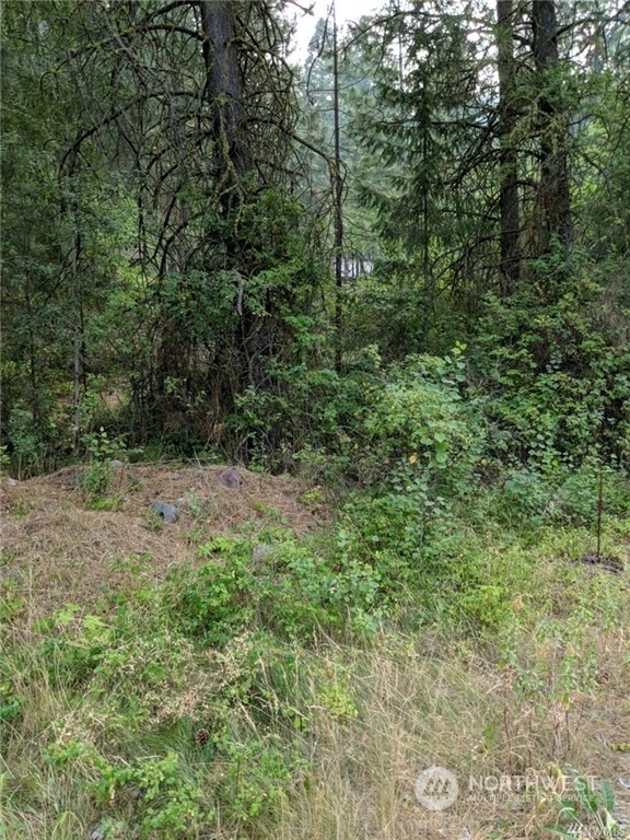 101010 Rio Vista Lane Naches, WA 98937 - Photo 2 of 4 a view of a forest with trees in the background