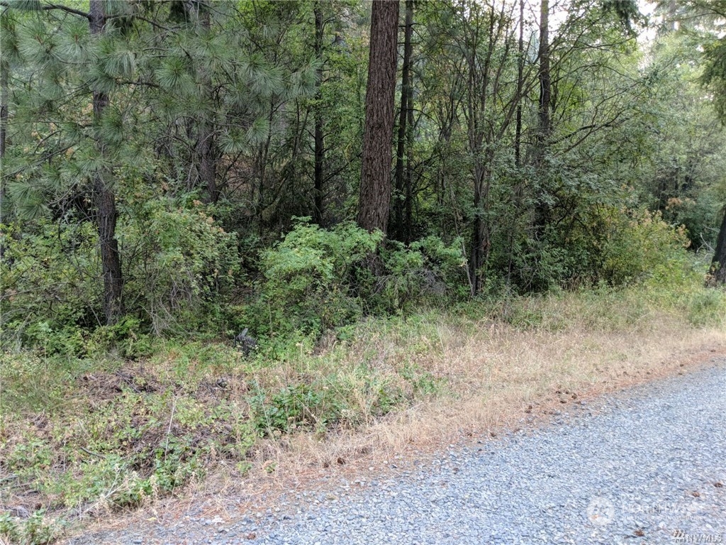 101010 Rio Vista Lane Naches, WA 98937 - Photo 3 of 4 a view of a forest with trees in the background
