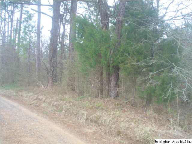Posey Road, Unit 2 6 Arab, AL 35016 - Photo 1 of 7 Gallery Image 1