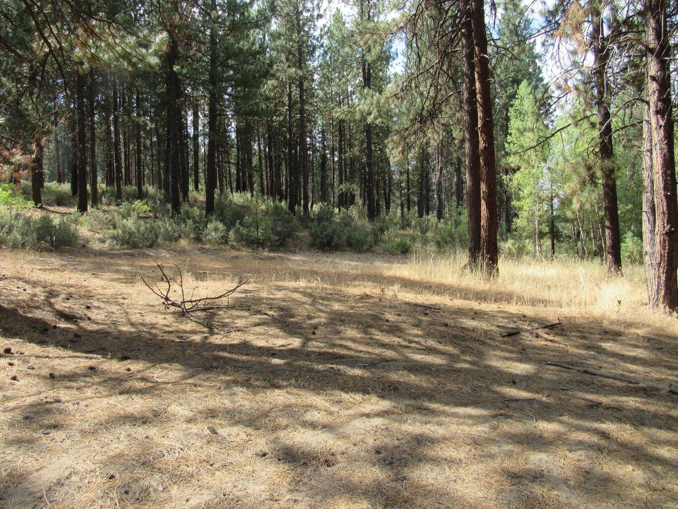 0 Pine Ridge Road Chiloquin, OR 97624 - Photo 6 of 9 20231218172737223641000000-o