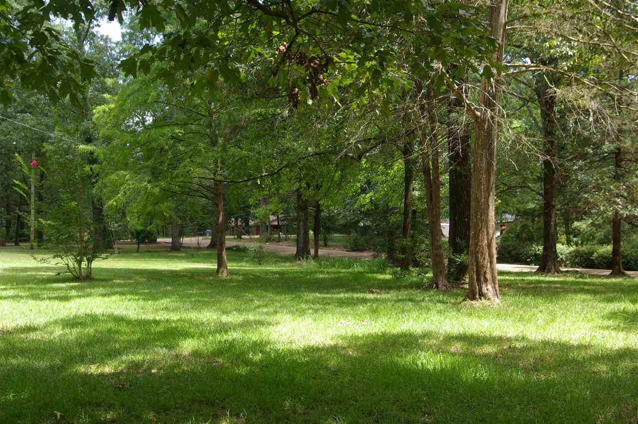 201 Ludlow Road Pearl, MS 39208 - Photo 29 of 44 Photo 29