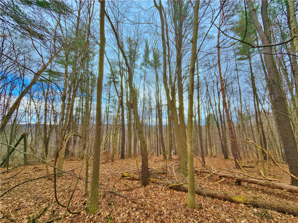 2130 Guyanoga Road Jerusalem, NY 14527 - Photo 22 of 26
