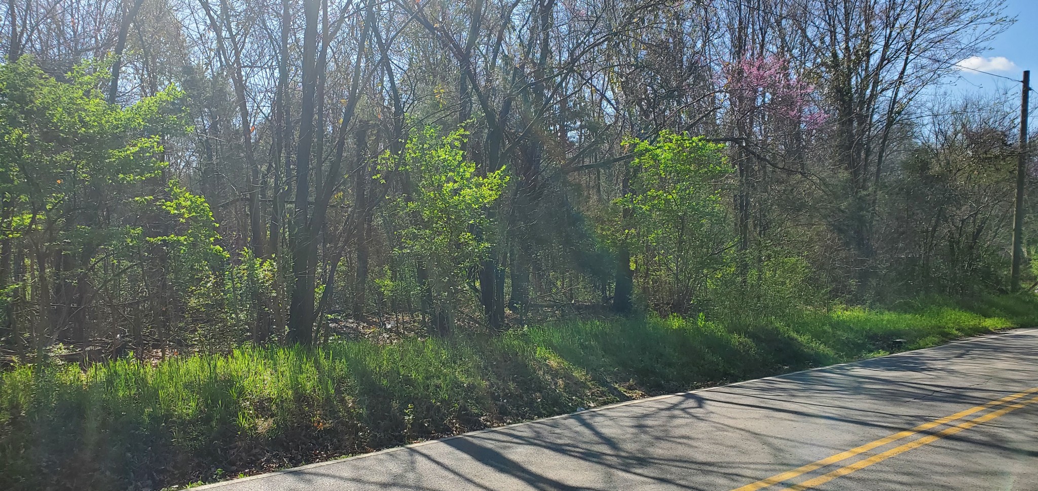 9861 Split Log Road, Brentwood, TN 37027 Compass