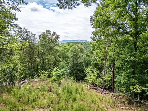 $74,900 | 1 Stormy Ridge, Brasstown, NC 28902