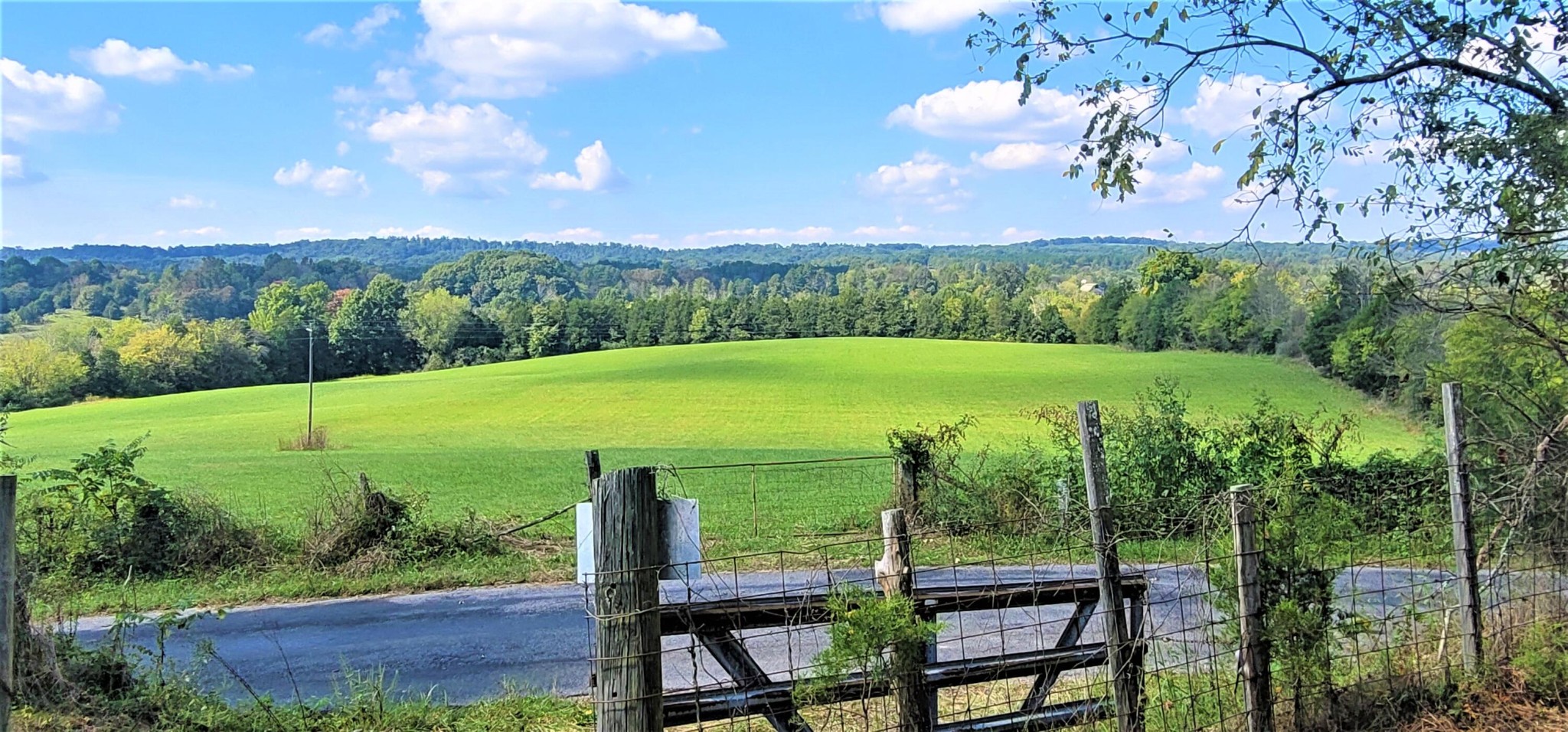0 Co Road Athens, TN 37303 - Photo 1 of 12
