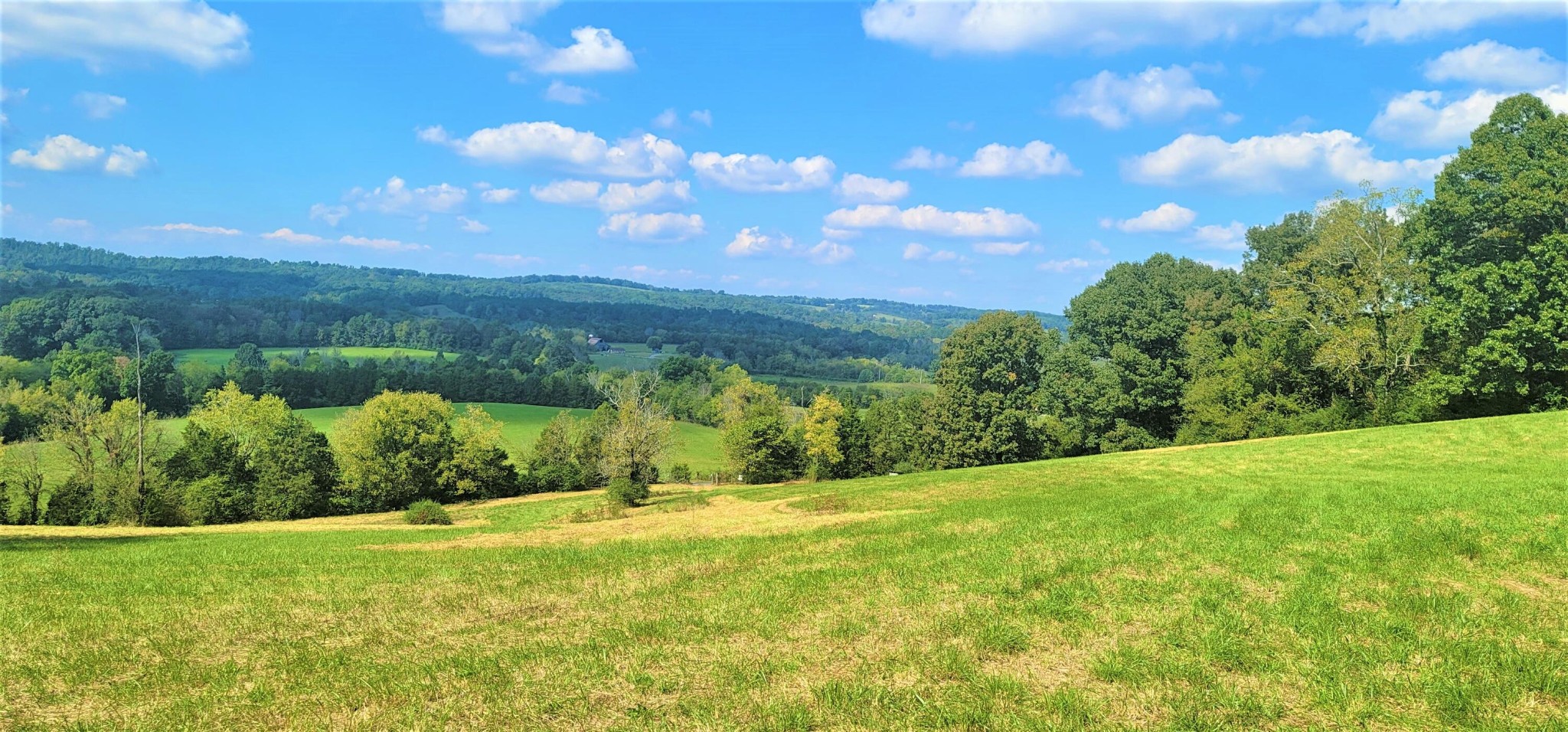 0 Co Road Athens, TN 37303 - Photo 2 of 12