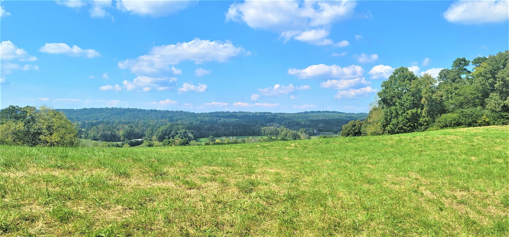 0 Co Road Athens, TN 37303 - Photo 3 of 12