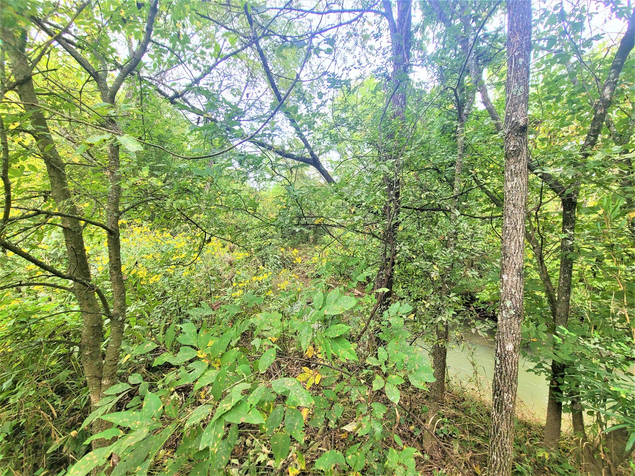 0 Co Road Athens, TN 37303 - Photo 5 of 12