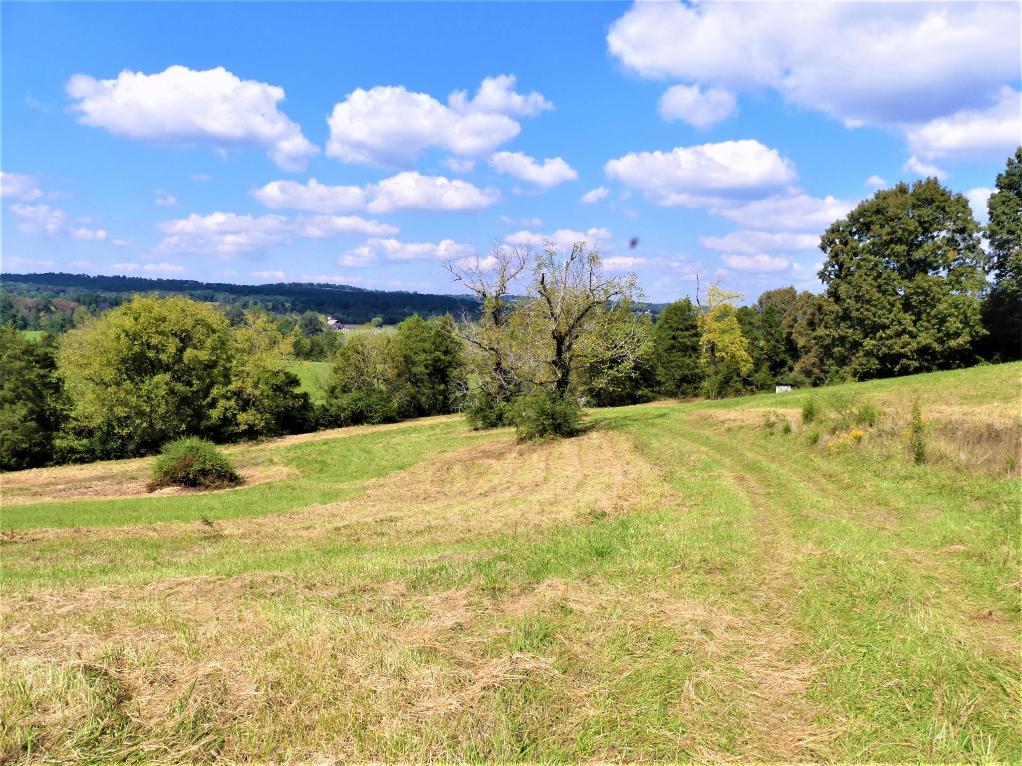 0 Co Road Athens, TN 37303 - Photo 6 of 12