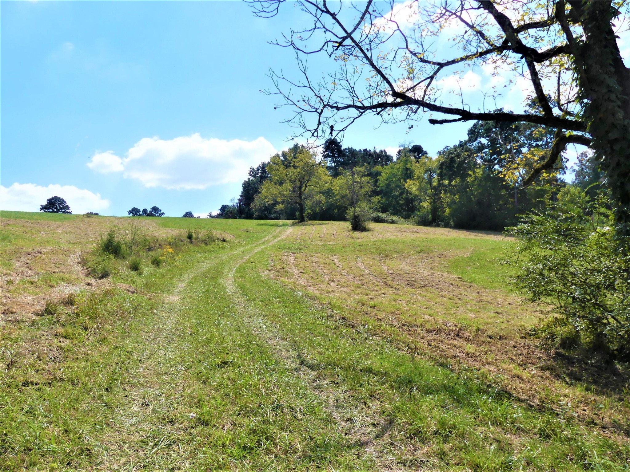 0 Co Road Athens, TN 37303 - Photo 8 of 12